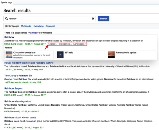 **Figure 1**: Example of explore similar widget on English Wikipedia when a user move the mouse on the 'Related' section of the first search result.